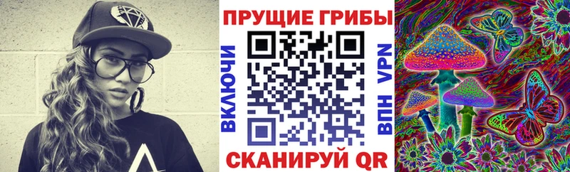 Купить где  Амурск  Галлюциногенные грибы Psilocybe 